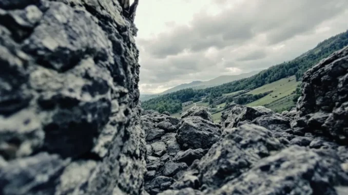 nullites-et-vices-de